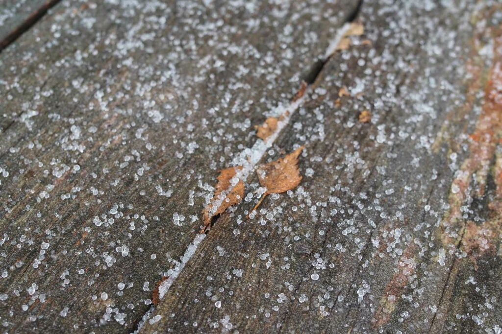 sleet pellets