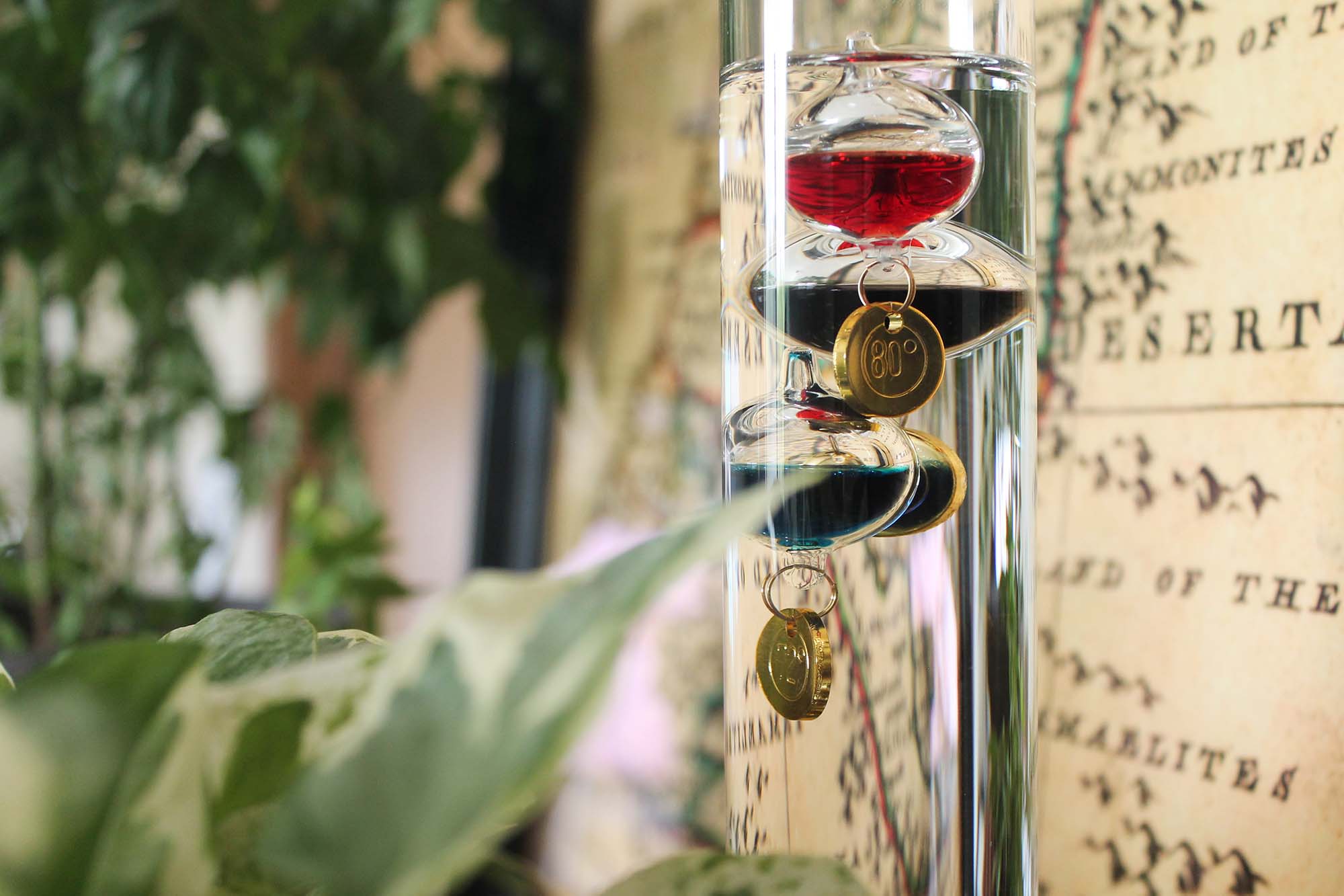 Galileo Thermometer: How They Work and the 5 Best to Buy
