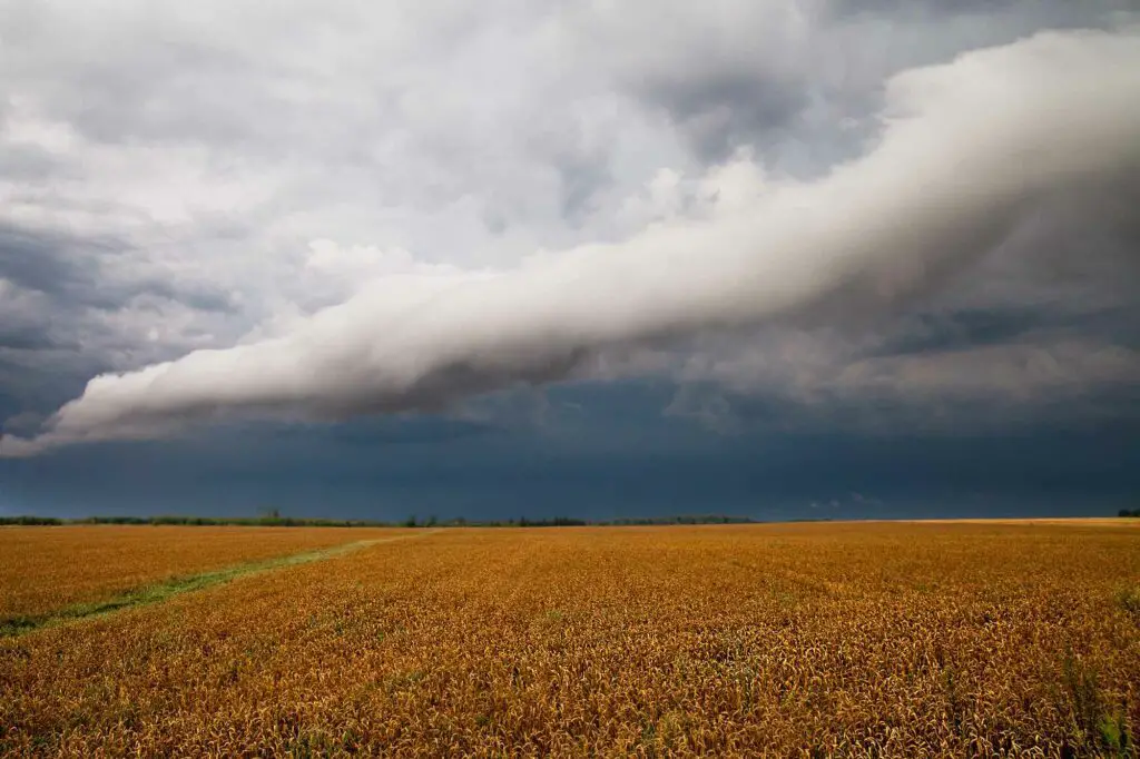 outflow boundary roll cloud