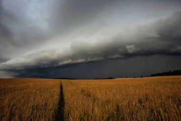 outflow boundary shelf cloud