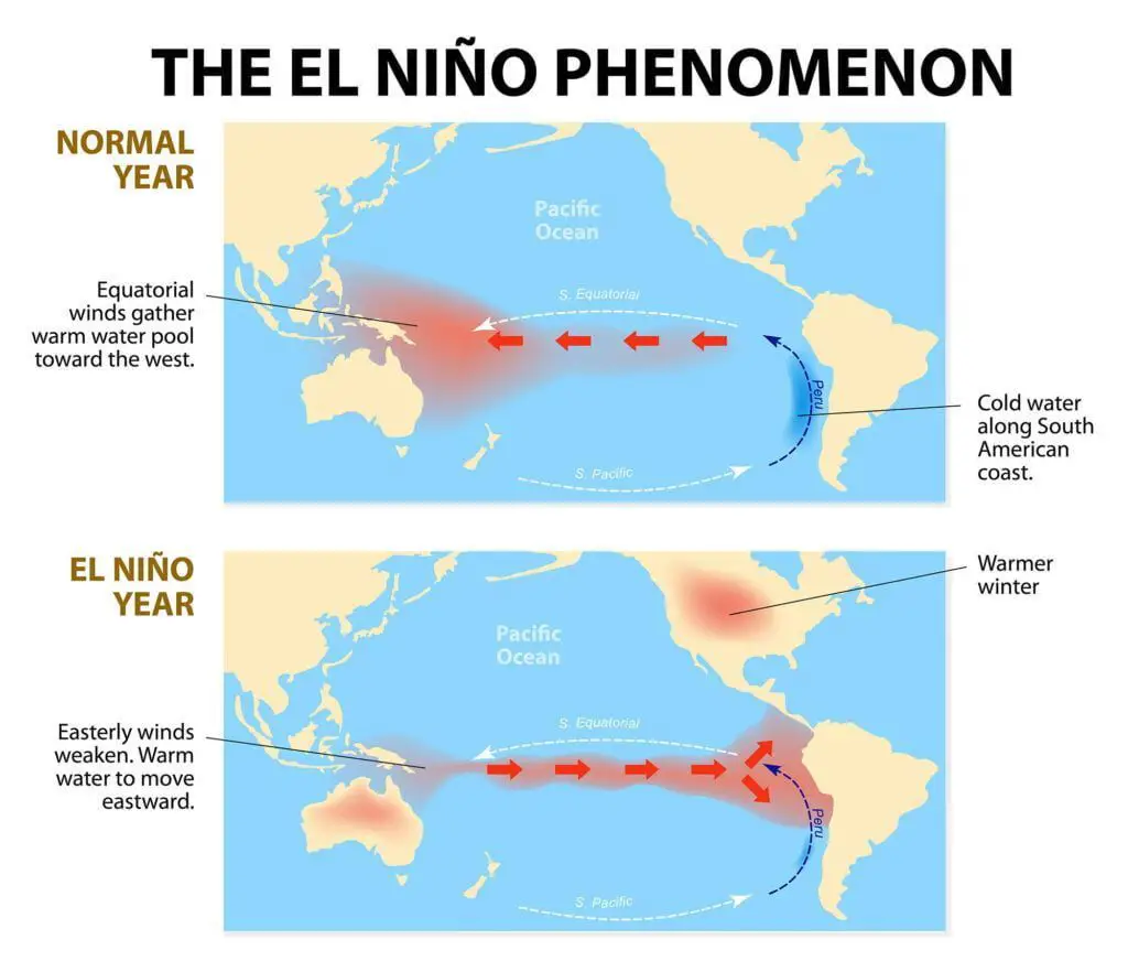 ¿qué es el fenómeno el nino? Esta imagen muestra gráficamente cómo se forma El Niño. 