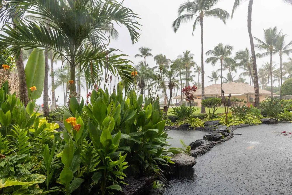 pioggia alle hawaii, uno degli stati americani più umidi