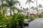 regen in hawaii, einem der feuchtesten us-staaten