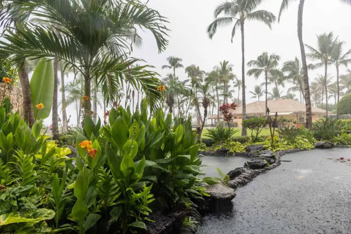 regen in hawaii, einem der feuchtesten us-staaten