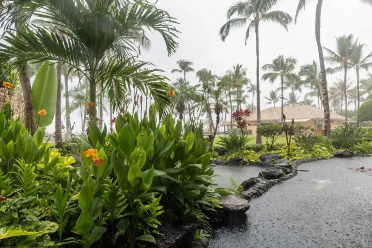 regen in hawaii, een van de natste staten van de VS