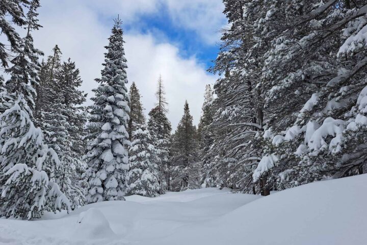 Neige dans la Sierra Nevadas pendant l'hiver historique 2022-23.