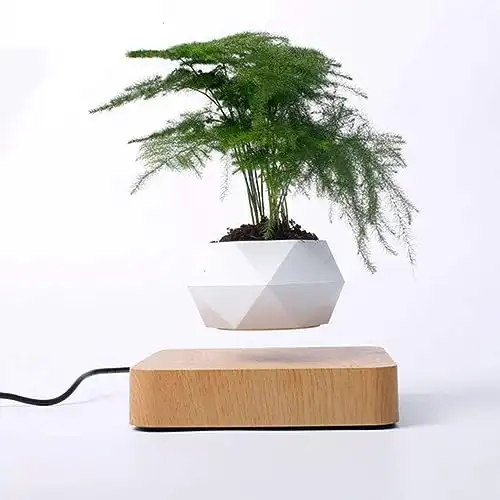 Vaso bonsai ad aria levitante
