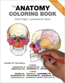O livro para colorir de anatomia