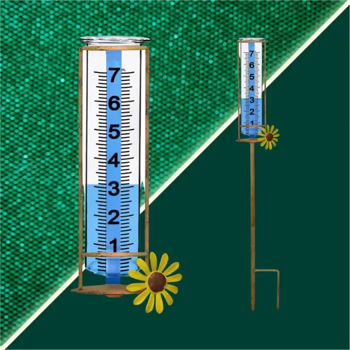 Decorative garden rain gauge on green background